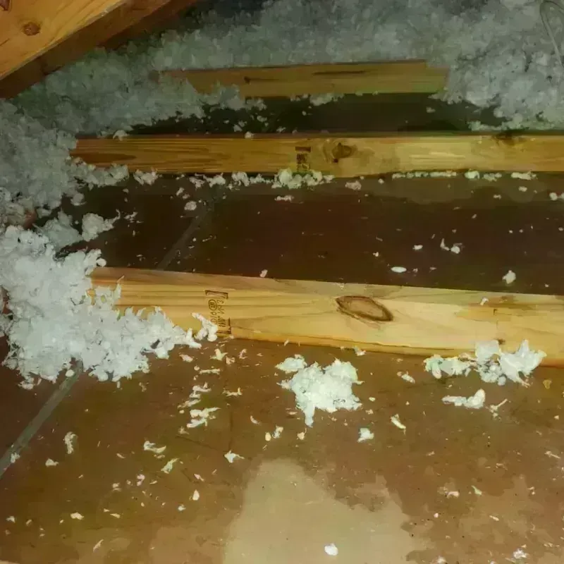 Attic Water Damage in Killeen, TX