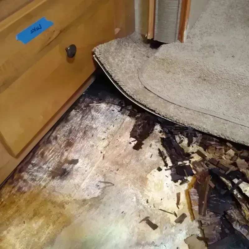 Wood Floor Water Damage in Killeen, TX